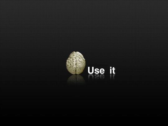 Wallpapers Funny