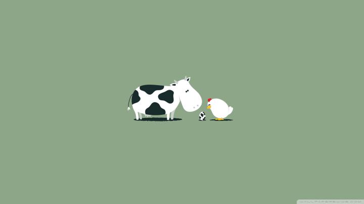 Funny 1920x1080 HD Wallpapers (59+ images)