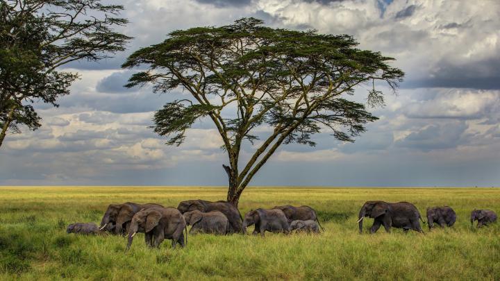 Animal Images HD, Wild Animals, Funny Wallpapers, Cute Animals 