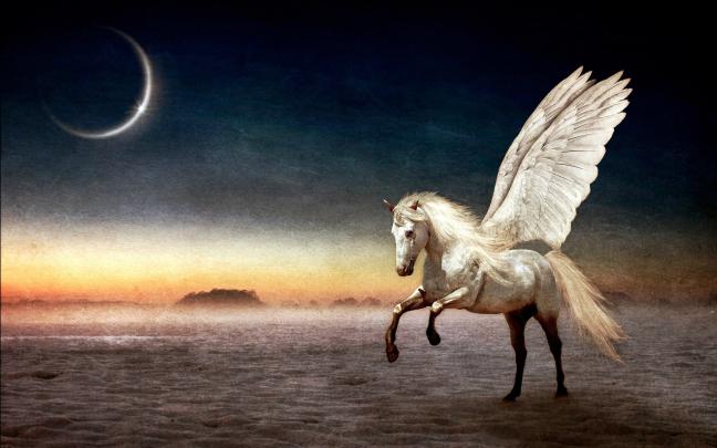 fantasy, Pegasus, Horse, Animal, Art, Artistic, Artwork Wallpapers HD 