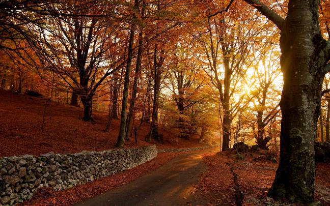 fall, Nature Wallpapers HD \/ Desktop and Mobile Backgrounds