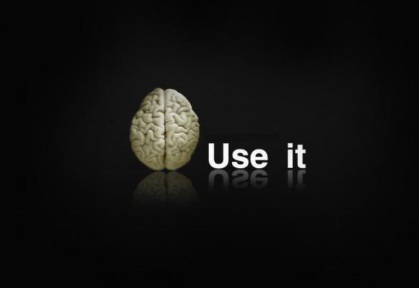 [49+] Free Funny Wallpaper Downloads 