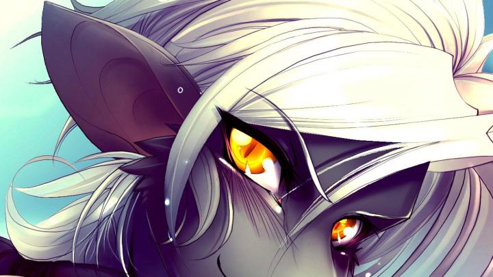 [40+] Furry Wallpaper HD 