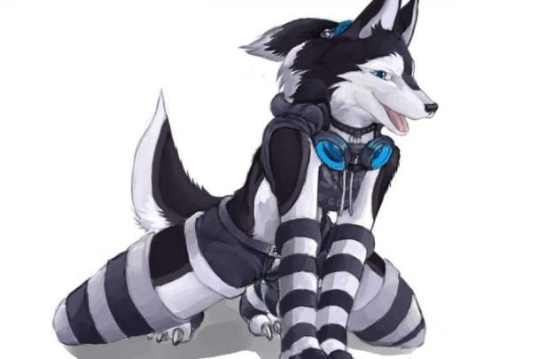 Furry Wallpapers \u00b7\u2460 