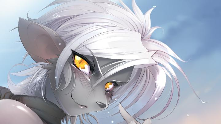 Furry Wallpaper 1920x1080 -