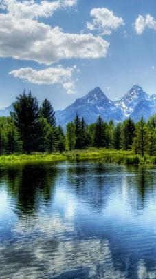 [41+] Forest Lake Wallpaper 