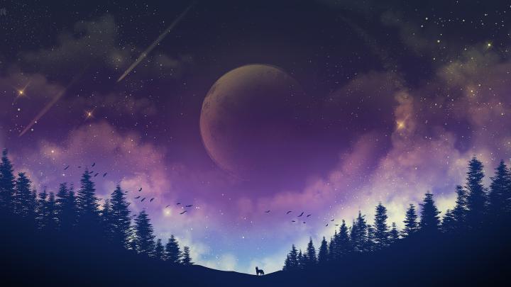 1920x1080 Moon Fox Galaxy 4k Laptop Full HD 1080P HD 4k Wallpapers 