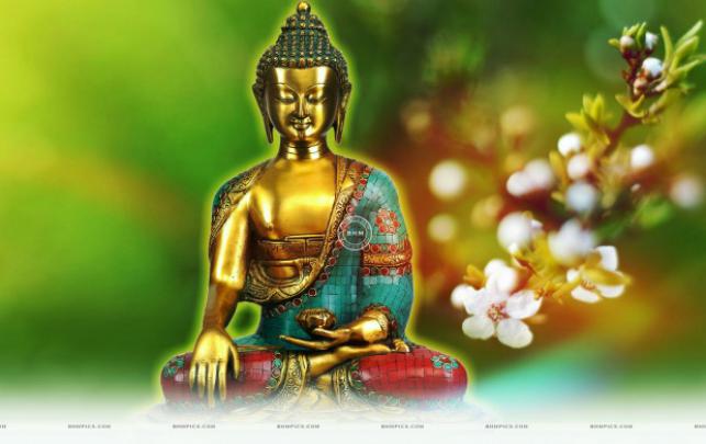 Download Lord Buddha HD Wallpaper Download Gallery