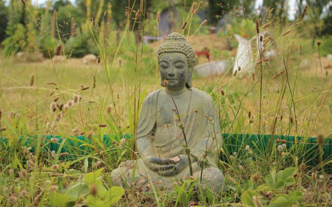 Lord Buddha Wallpapers 4K \/ Buddha HD Wallpapers 