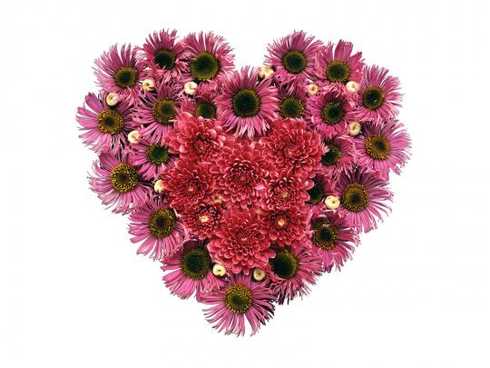 FULL WALLPAPER: Free love, heart-shaped flower desktop wallpaper