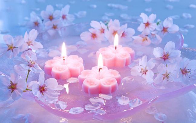 Pink Candles And Cherry Flowers Beauty Love Wallpapers Hd 