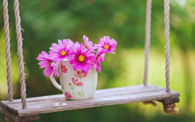 flowers, , Garden, , Landscape, , Love, , Nature, , Romantic, , Roses 