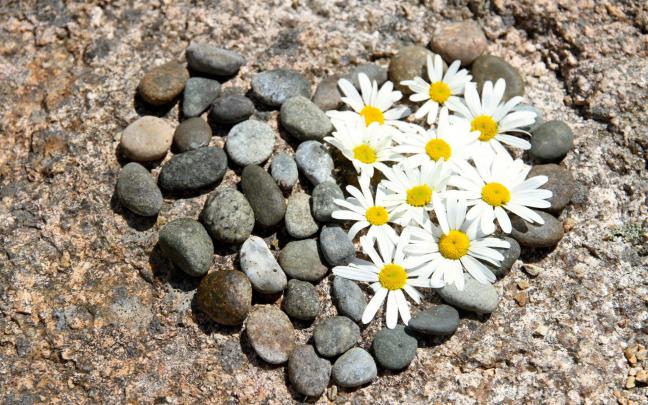 hearts, Love, Stones, Flowers Wallpapers HD \/ Desktop and Mobile 