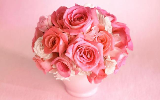 Love Rose Flowers - Flower HD Wallpapers, Images, PIctures, Tattoos and 