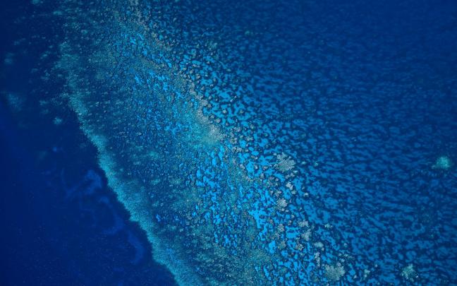 Mac Os Wallpapers \u00b7\u2460 