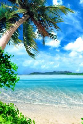 Tropical Paradise Beach 4k Hd Desktop Wallpaper For - Beach Paradise 