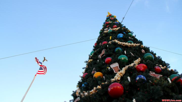 Magic Kingdom Christmas Wallpaper -