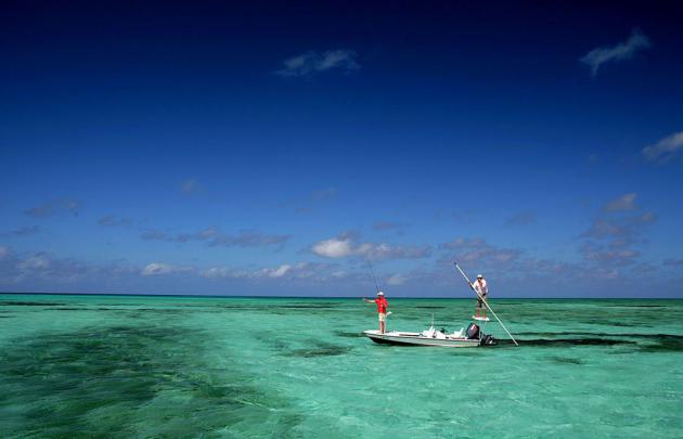 Saltwater Fishing Wallpaper Desktop -