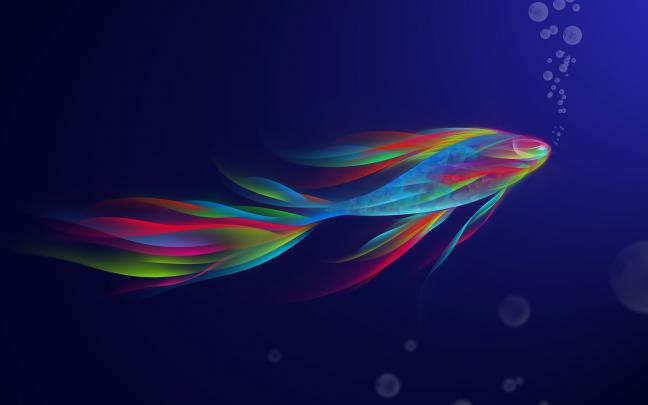 Cool Fish Backgrounds \u00b7\u2460 