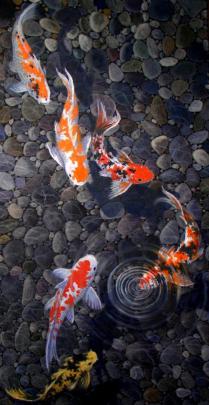 Koi Live Wallpaper 4k Hd For Android Apk Download Pond By Gene Gregorio 