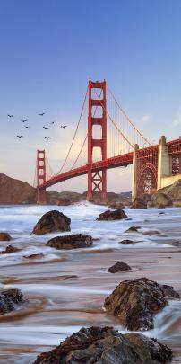 Download 1080x2160 wallpaper bridge, coast, golden gate bridge, honor 