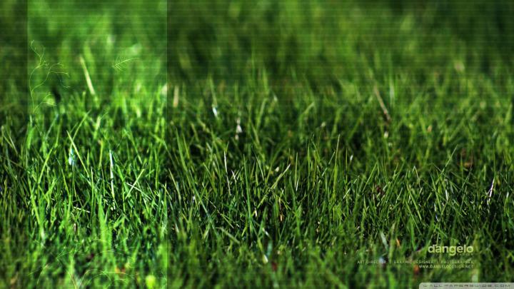 [47+] Grass Wallpaper Designs 
