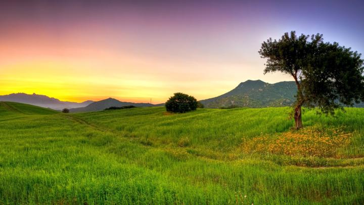 HD Grass Wallpaper (76+ images)