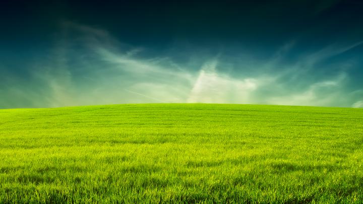 Grass wallpaper | 1920x1080 | #43176