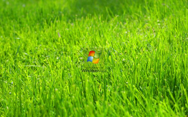 Green Grass Wallpaper -
