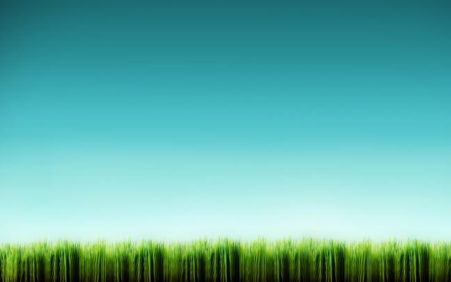Grass wallpaper \u00b7\u2460 Download free beautiful wallpapers for desktop 