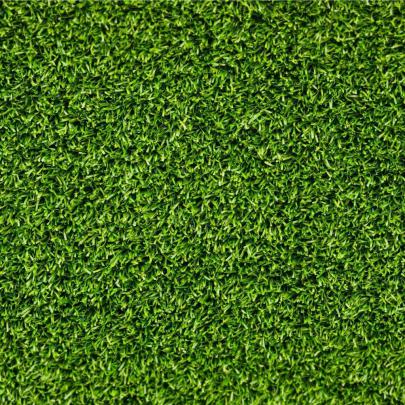 [76+] Hd Grass Wallpaper 