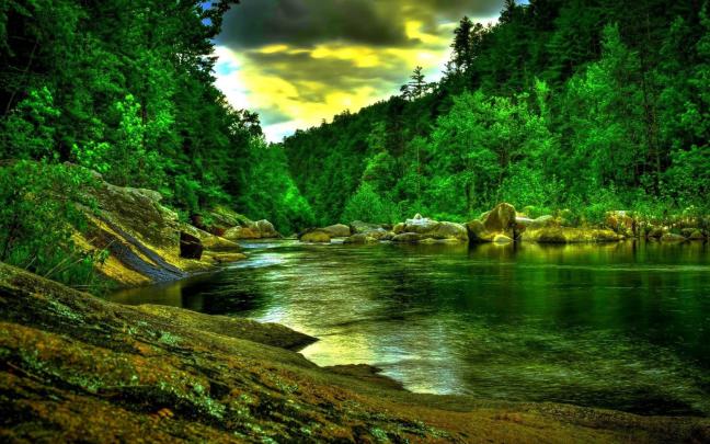 Beautiful Forest Desktop Wallpapers - Top Free Beautiful Forest Desktop 