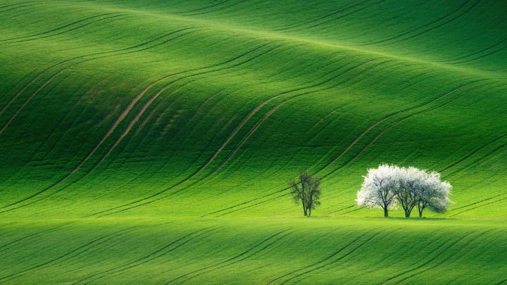 Green Landscape Wallpapers - Top Free Green Landscape Backgrounds 