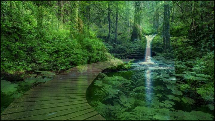 17++ Hd Green Nature Wallpapers For Laptop - Basty Wallpaper