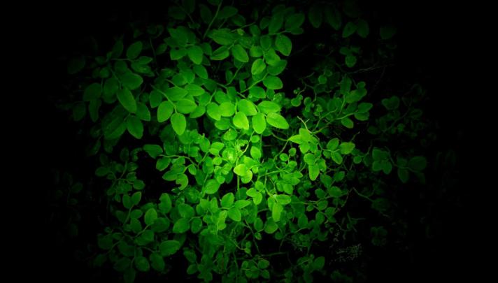 Nature Wallpaper | Full HD Wallpapers