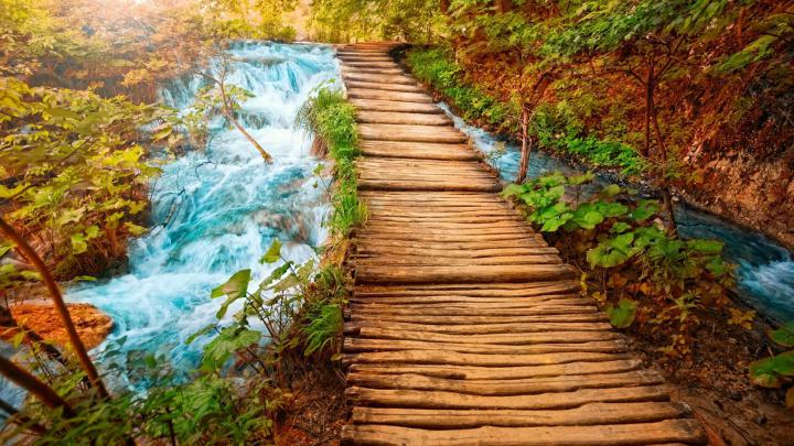 1920X1080 HD Nature Wallpapers - Top Free 1920X1080 HD Nature 