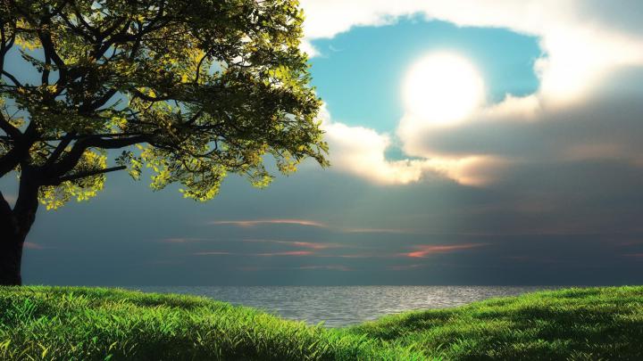 wow [19201080] | Nature desktop wallpaper, Best nature wallpapers hd 