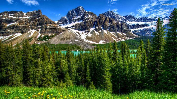 1920X1080 HD Nature Wallpapers - Top Free 1920X1080 HD Nature 