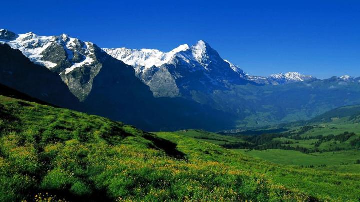 1920 x 1080 Nature Wallpaper -