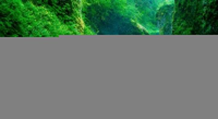 [78+] Free Nature Wallpaper 