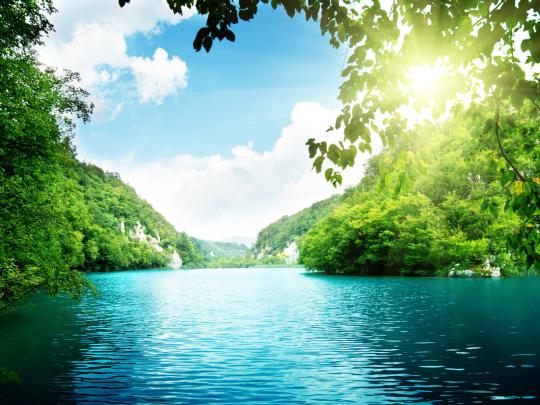 [48+] Green Nature Wallpaper HD 