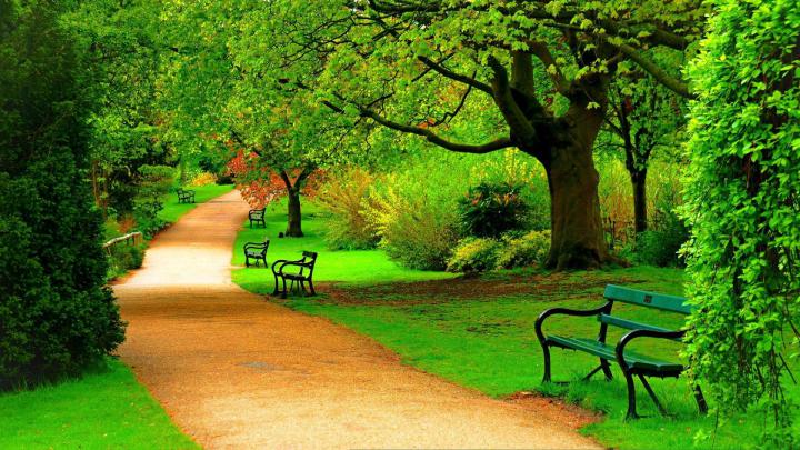 Full HD Nature Wallpapers - Top Free Full HD Nature Backgrounds 