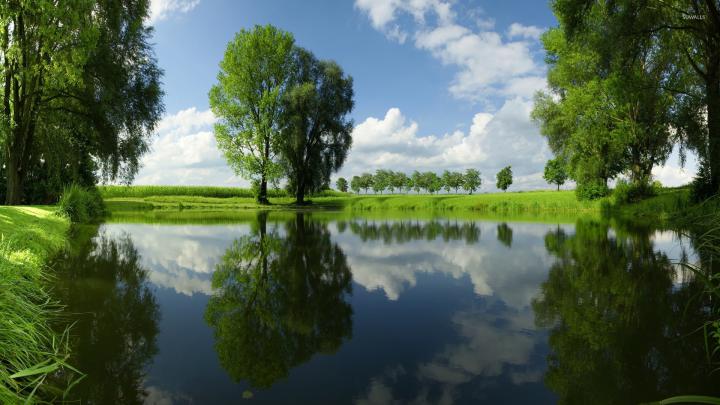 Beautiful green nature reflecting in the mirror of the lake wallpaper 