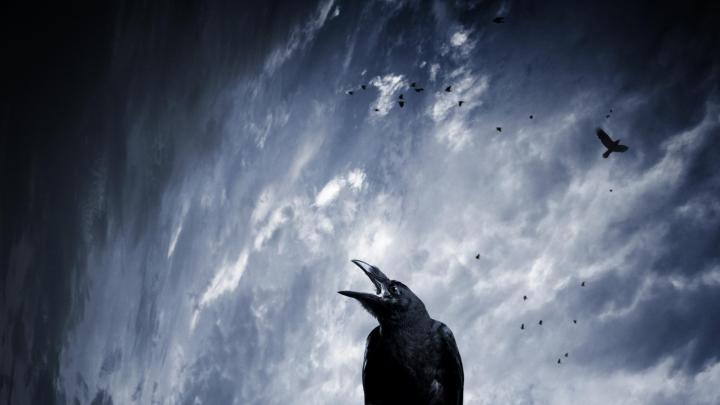 [43+] Grim Reaper HD Wallpaper 
