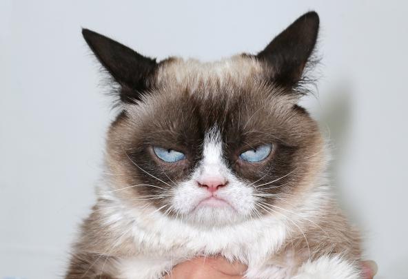 Grumpy Wallpapers (63+ background pictures)