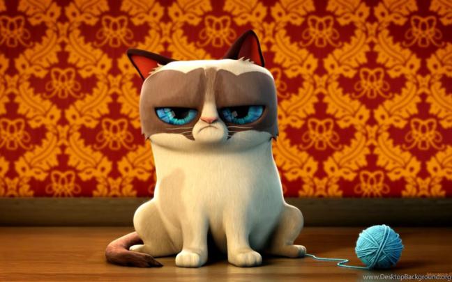Grumpy Cat Wallpapers 1920X1080 Desktop Background