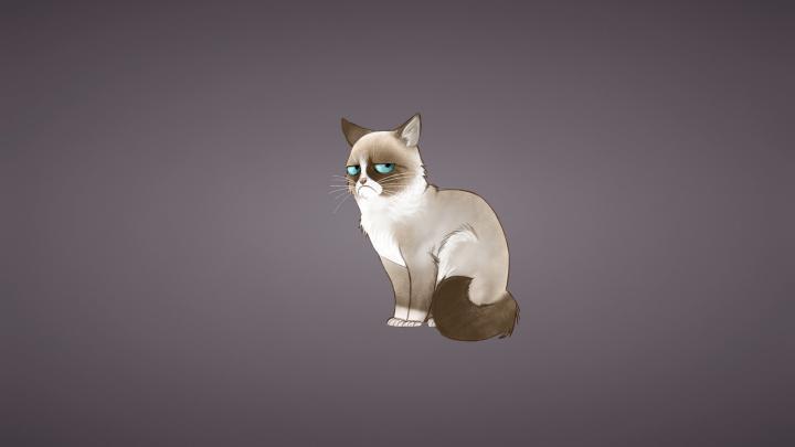 [37+] Grumpy Cat Meme Wallpaper 
