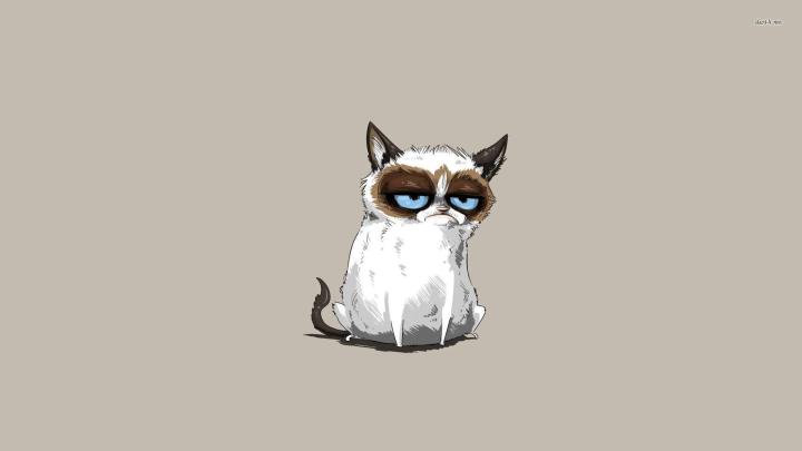 Grumpy Cat Wallpapers HD (61+ images)