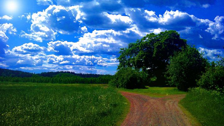 Summer Wallpaper HD Widescreen -