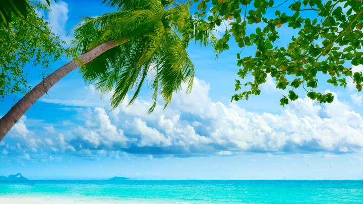 Free download HD Wallpapers Nature Widescreen Wallpapers Backgrounds 